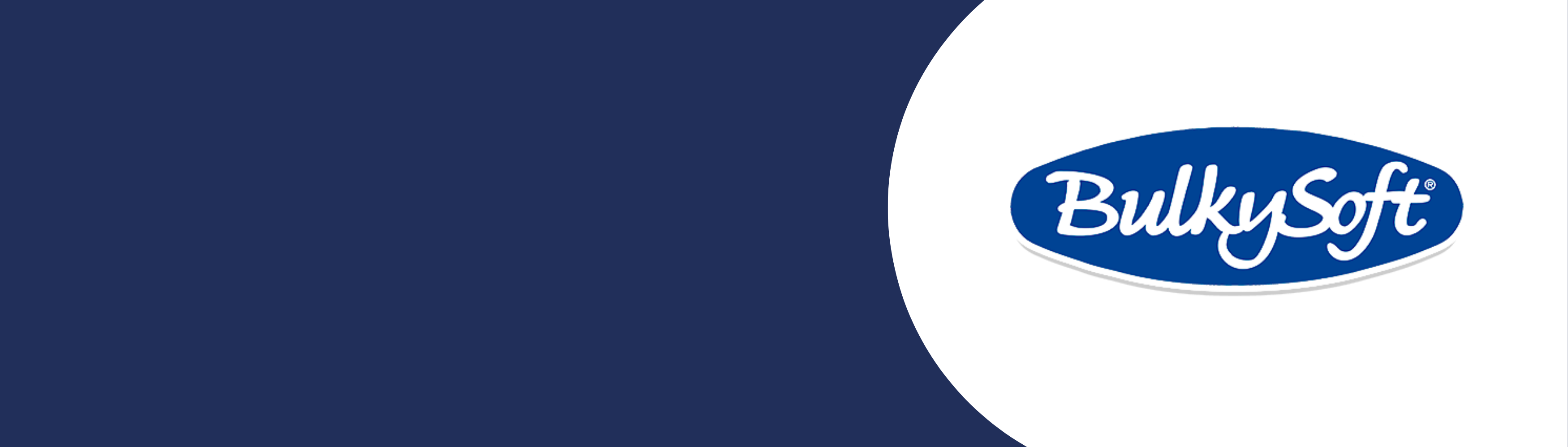 BulkySoft logo