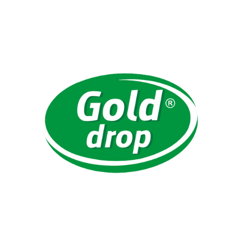 logo gold drop