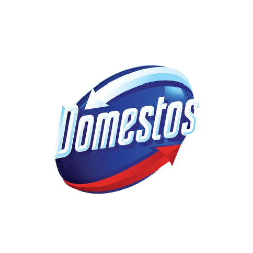 logo domestos