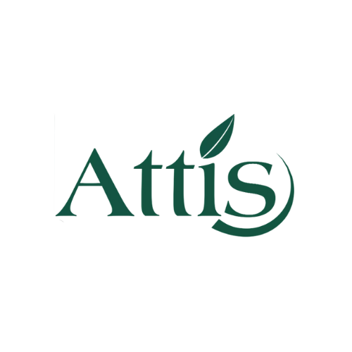 logo Attis